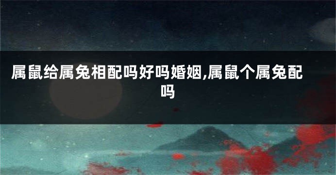 属鼠给属兔相配吗好吗婚姻,属鼠个属兔配吗