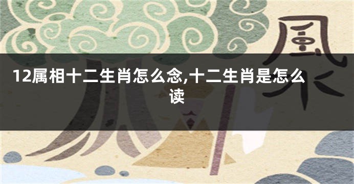 12属相十二生肖怎么念,十二生肖是怎么读