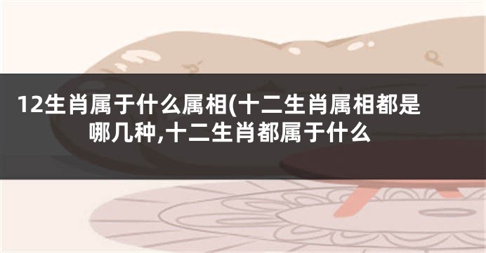 12生肖属于什么属相(十二生肖属相都是哪几种,十二生肖都属于什么
