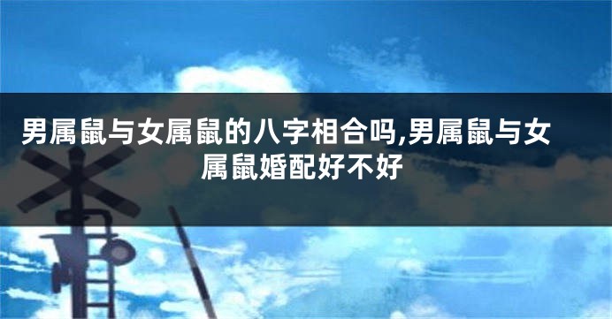 男属鼠与女属鼠的八字相合吗,男属鼠与女属鼠婚配好不好