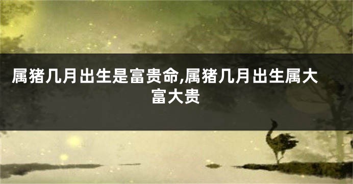 属猪几月出生是富贵命,属猪几月出生属大富大贵