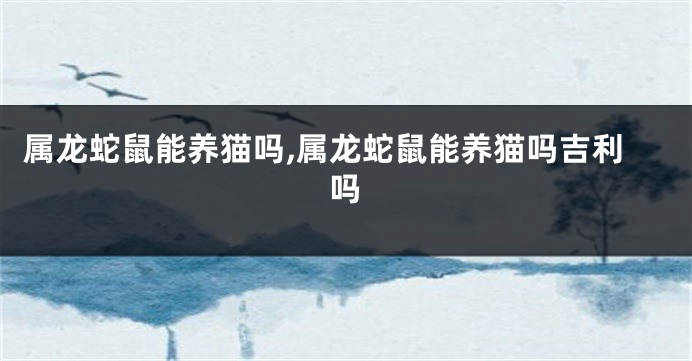 属龙蛇鼠能养猫吗,属龙蛇鼠能养猫吗吉利吗
