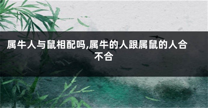 属牛人与鼠相配吗,属牛的人跟属鼠的人合不合