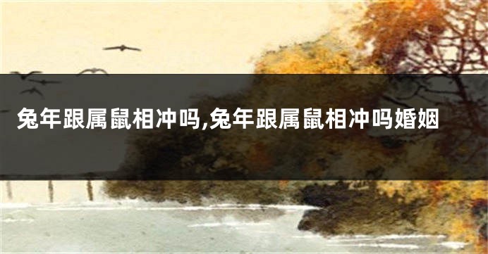 兔年跟属鼠相冲吗,兔年跟属鼠相冲吗婚姻