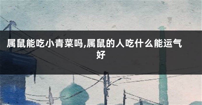 属鼠能吃小青菜吗,属鼠的人吃什么能运气好