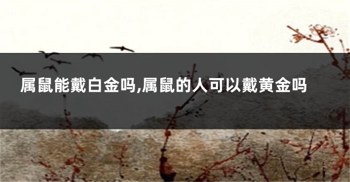 属鼠能戴白金吗,属鼠的人可以戴黄金吗