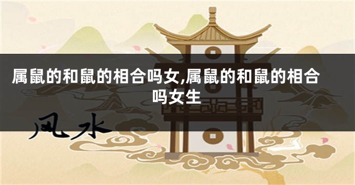 属鼠的和鼠的相合吗女,属鼠的和鼠的相合吗女生