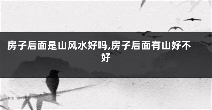 房子后面是山风水好吗,房子后面有山好不好