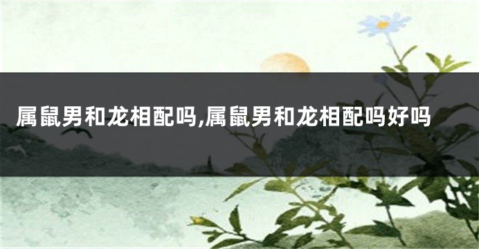 属鼠男和龙相配吗,属鼠男和龙相配吗好吗