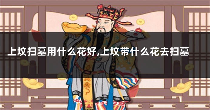 上坟扫墓用什么花好,上坟带什么花去扫墓