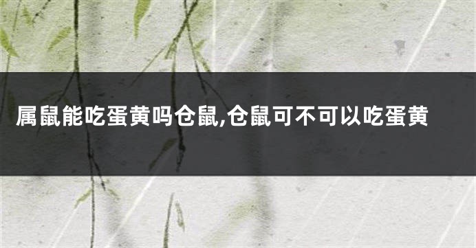 属鼠能吃蛋黄吗仓鼠,仓鼠可不可以吃蛋黄