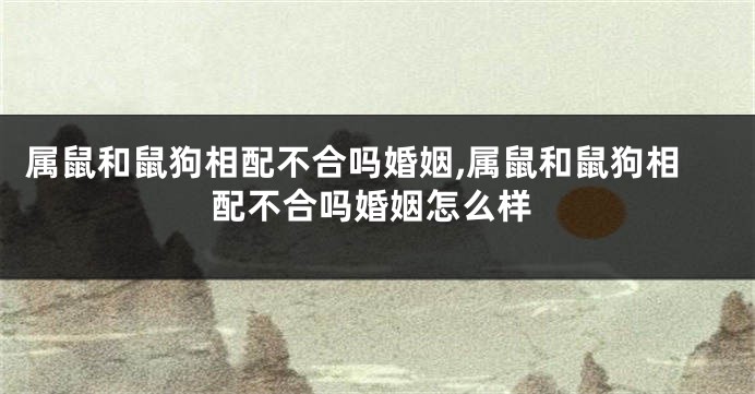 属鼠和鼠狗相配不合吗婚姻,属鼠和鼠狗相配不合吗婚姻怎么样