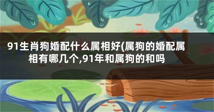 91生肖狗婚配什么属相好(属狗的婚配属相有哪几个,91年和属狗的和吗