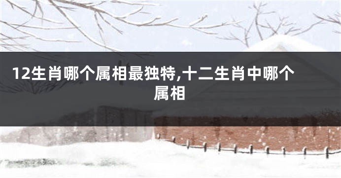 12生肖哪个属相最独特,十二生肖中哪个属相