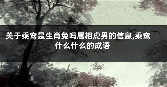 关于乘鸾是生肖兔吗属相虎男的信息,乘鸾什么什么的成语