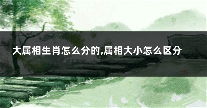 大属相生肖怎么分的,属相大小怎么区分
