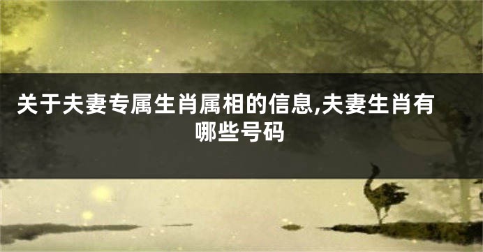 关于夫妻专属生肖属相的信息,夫妻生肖有哪些号码