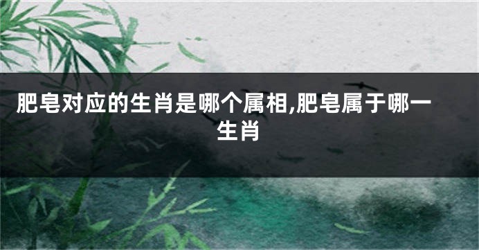 肥皂对应的生肖是哪个属相,肥皂属于哪一生肖