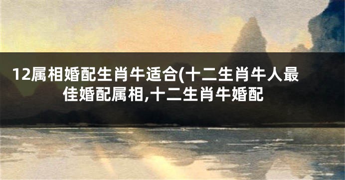 12属相婚配生肖牛适合(十二生肖牛人最佳婚配属相,十二生肖牛婚配