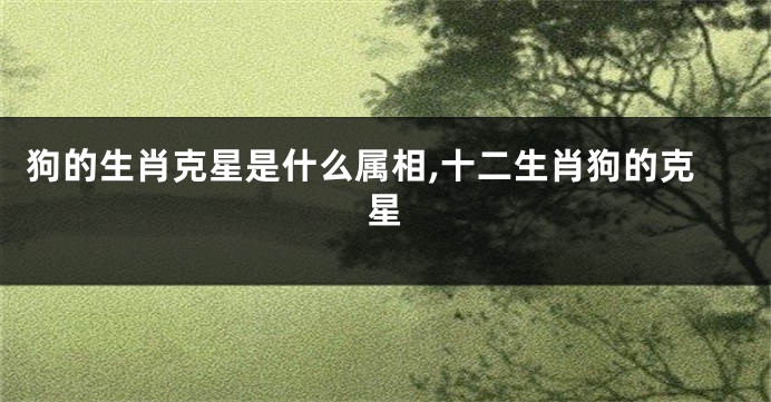 狗的生肖克星是什么属相,十二生肖狗的克星