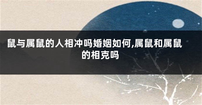 鼠与属鼠的人相冲吗婚姻如何,属鼠和属鼠的相克吗