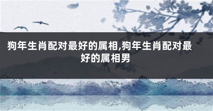 狗年生肖配对最好的属相,狗年生肖配对最好的属相男