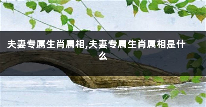 夫妻专属生肖属相,夫妻专属生肖属相是什么
