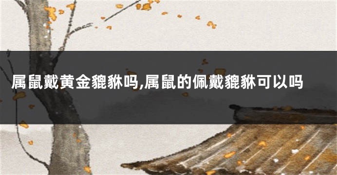 属鼠戴黄金貔貅吗,属鼠的佩戴貔貅可以吗