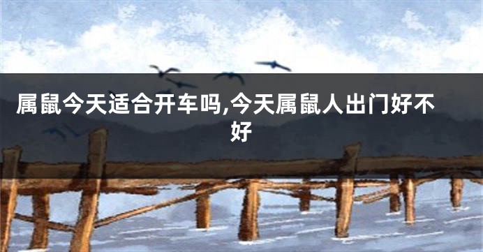 属鼠今天适合开车吗,今天属鼠人出门好不好