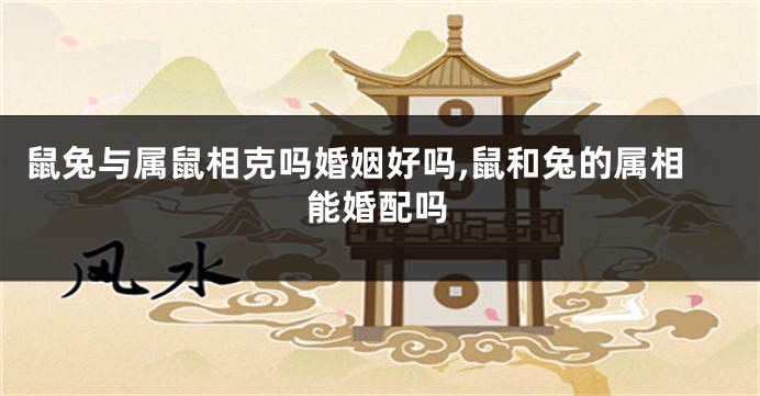 鼠兔与属鼠相克吗婚姻好吗,鼠和兔的属相能婚配吗