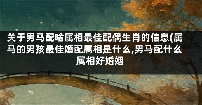 关于男马配啥属相最佳配偶生肖的信息(属马的男孩最佳婚配属相是什么,男马配什么属相好婚姻