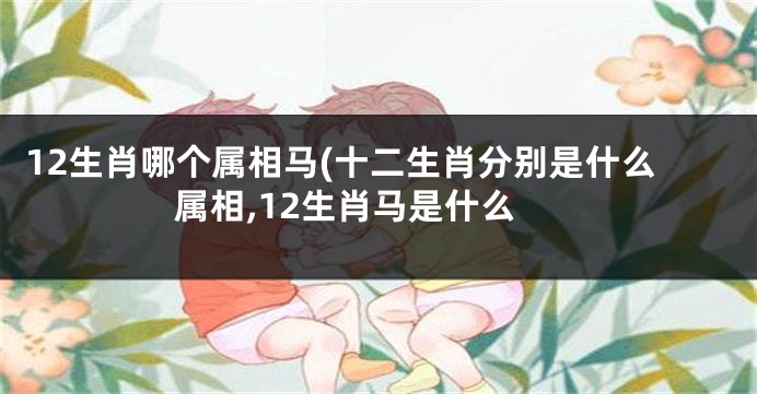 12生肖哪个属相马(十二生肖分别是什么属相,12生肖马是什么