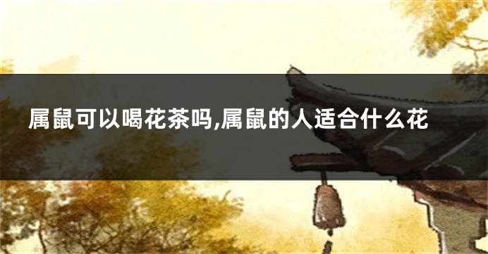 属鼠可以喝花茶吗,属鼠的人适合什么花