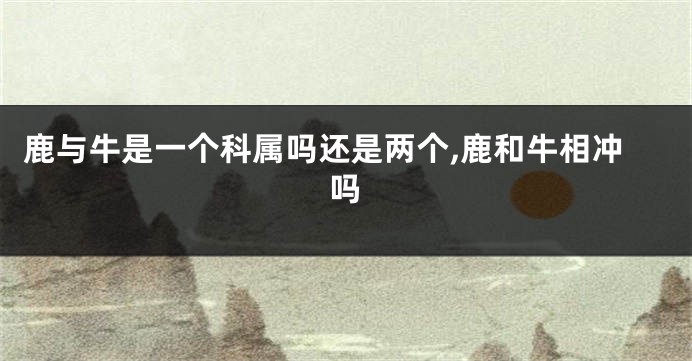 鹿与牛是一个科属吗还是两个,鹿和牛相冲吗