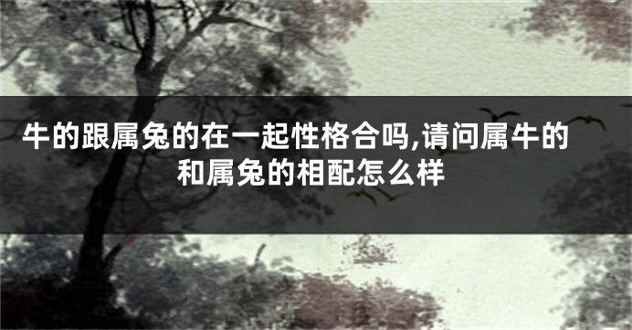 牛的跟属兔的在一起性格合吗,请问属牛的和属兔的相配怎么样