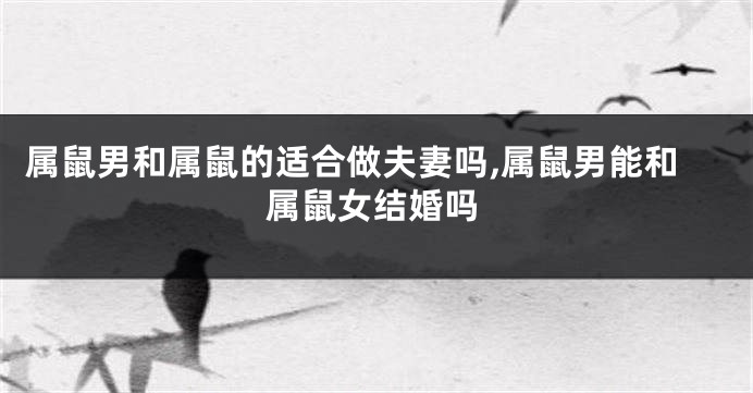 属鼠男和属鼠的适合做夫妻吗,属鼠男能和属鼠女结婚吗