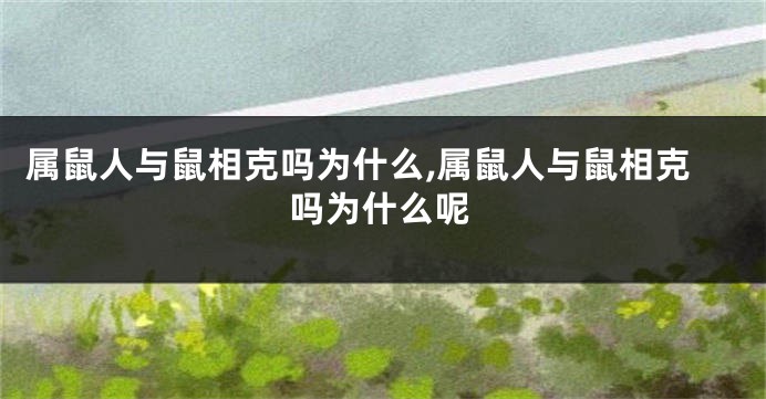 属鼠人与鼠相克吗为什么,属鼠人与鼠相克吗为什么呢