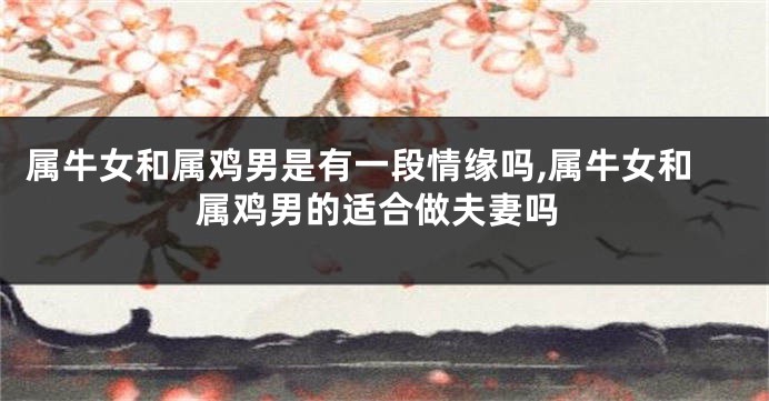 属牛女和属鸡男是有一段情缘吗,属牛女和属鸡男的适合做夫妻吗