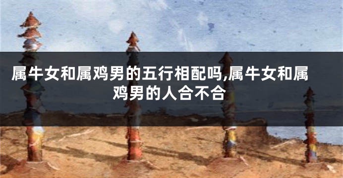 属牛女和属鸡男的五行相配吗,属牛女和属鸡男的人合不合