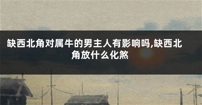 缺西北角对属牛的男主人有影响吗,缺西北角放什么化煞