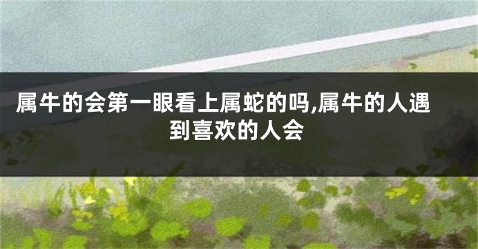 属牛的会第一眼看上属蛇的吗,属牛的人遇到喜欢的人会