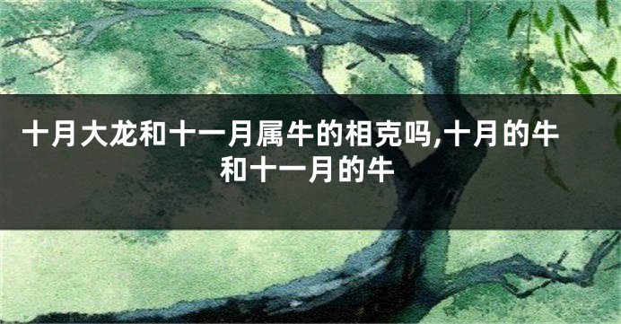 十月大龙和十一月属牛的相克吗,十月的牛和十一月的牛