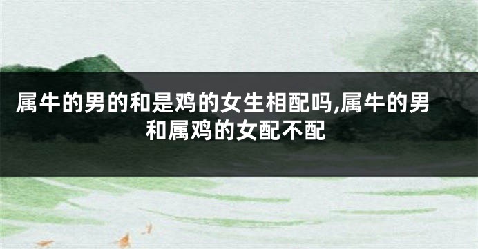 属牛的男的和是鸡的女生相配吗,属牛的男和属鸡的女配不配