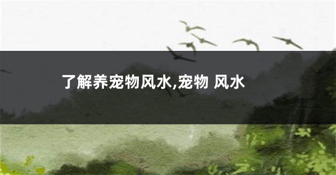 了解养宠物风水,宠物 风水