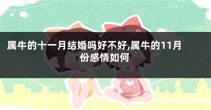 属牛的十一月结婚吗好不好,属牛的11月份感情如何