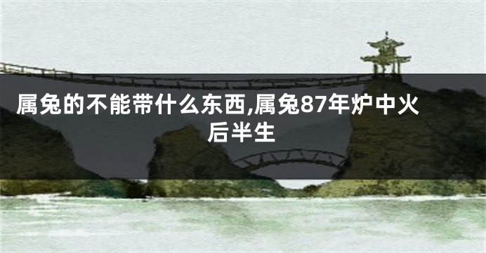 属兔的不能带什么东西,属兔87年炉中火后半生