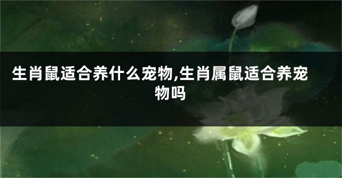 生肖鼠适合养什么宠物,生肖属鼠适合养宠物吗