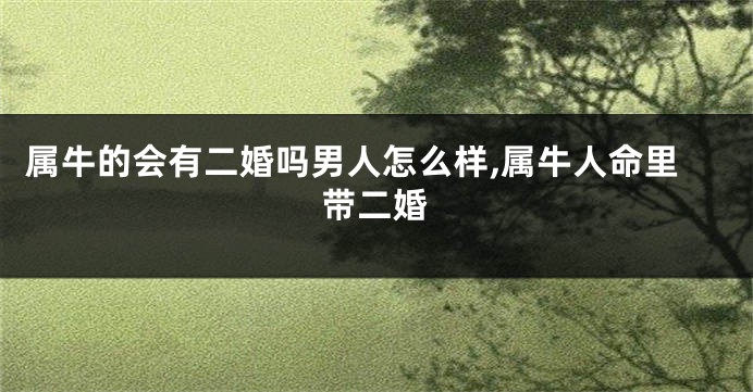 属牛的会有二婚吗男人怎么样,属牛人命里带二婚