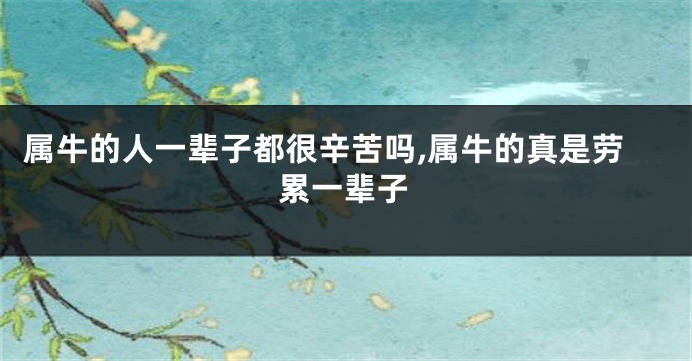 属牛的人一辈子都很辛苦吗,属牛的真是劳累一辈子