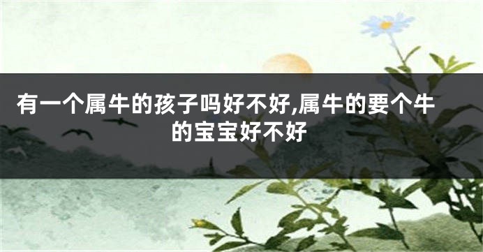 有一个属牛的孩子吗好不好,属牛的要个牛的宝宝好不好